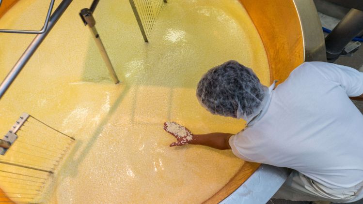 aut-walserstolz-visual-kaesebruch