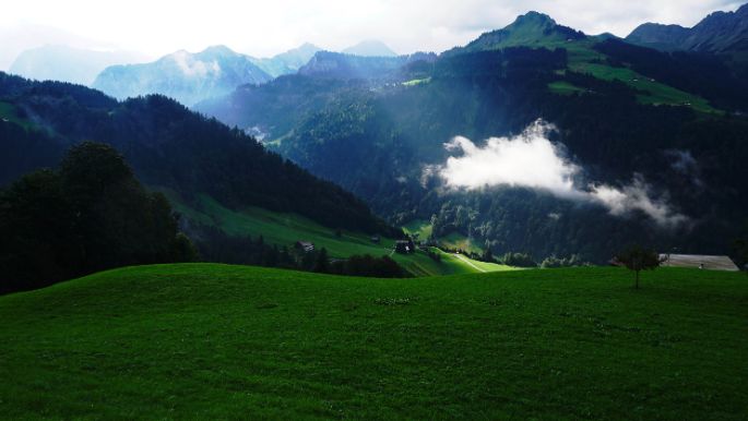 aut-walserstolz-visual-tal